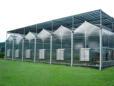 PC阳光板温室通风系统的选择